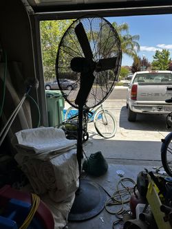 Large Fan