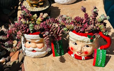 Santa and Mrs. Claus Christmas Mugs with Succulents