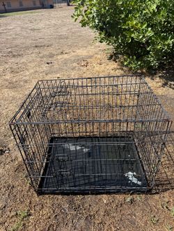 Black Wire Dog Crate with Tray