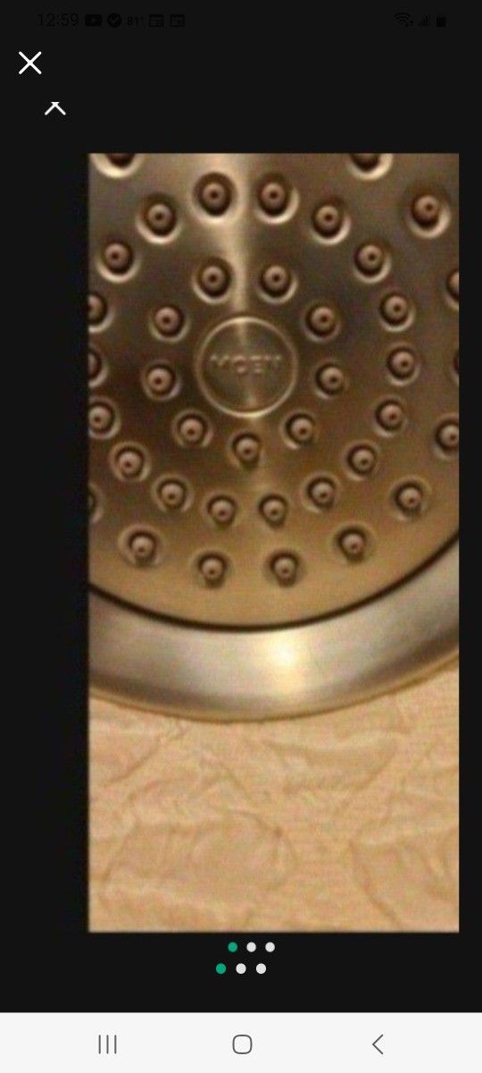 Shower Head Moen