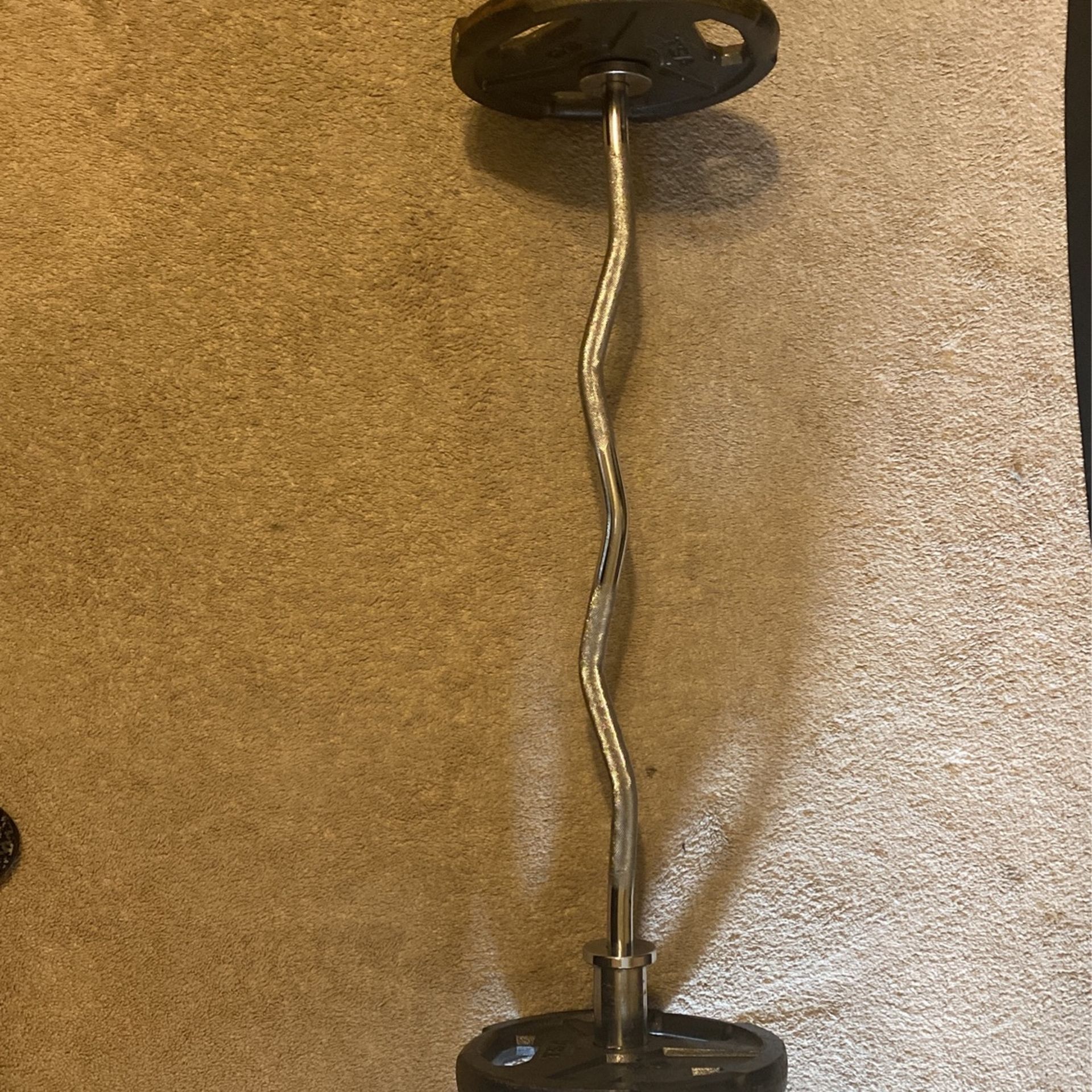 Curl Bar With Weights