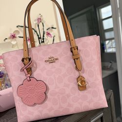 Coach powder pink collection
