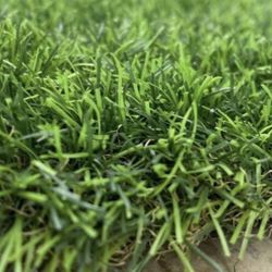 Sunshine Artificial Grass - Per Square Feet 