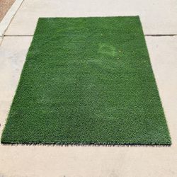 Turf Piece 6 Ft By 56 Inch