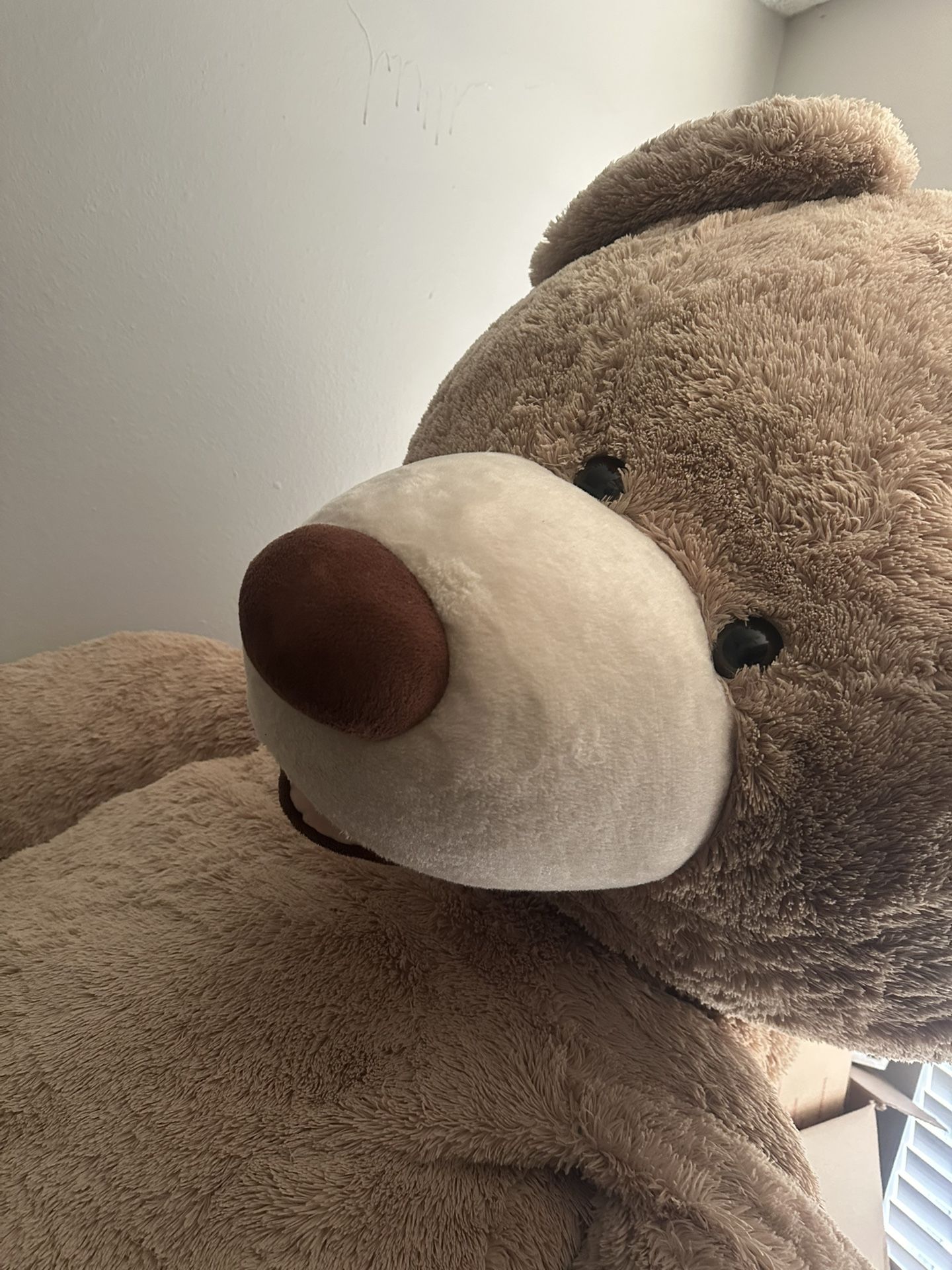 7 Ft Teddy Bear
