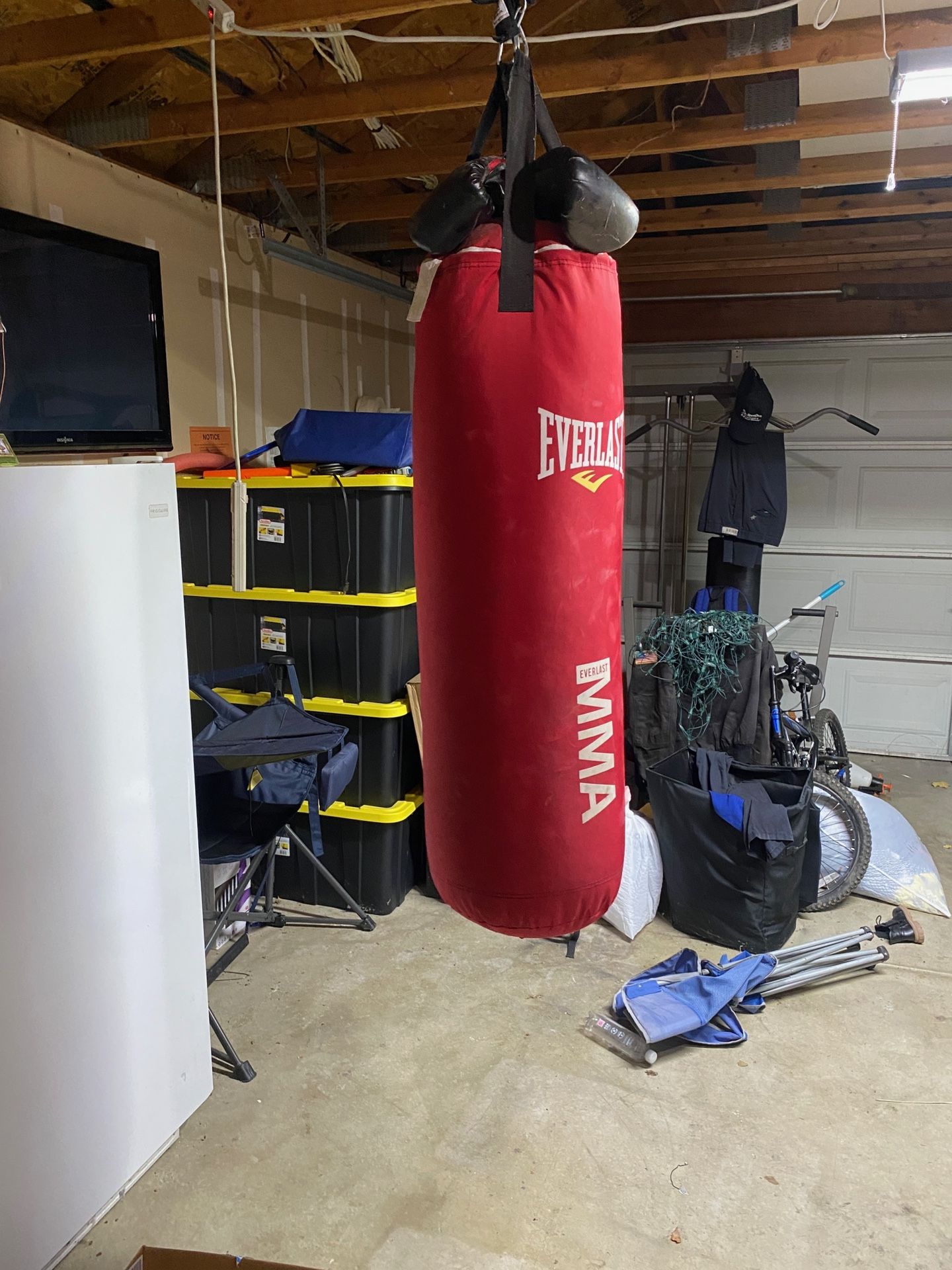 Everlast Punching Bag