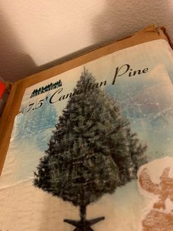 7.5 Canadian Pine