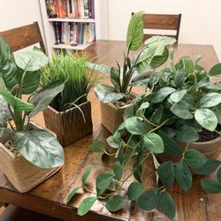 Artificial Plants / Fake Plants