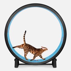 One Fast Cat Wheel