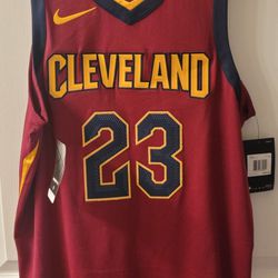 LEBRON JAMES NIKE AUTHENTIC JERSEY