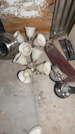 Ceiling Fan with Light