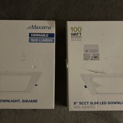 2 dimmable lights -new