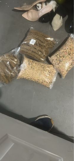 Bird food