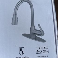 Pull Down Kitchen Faucet