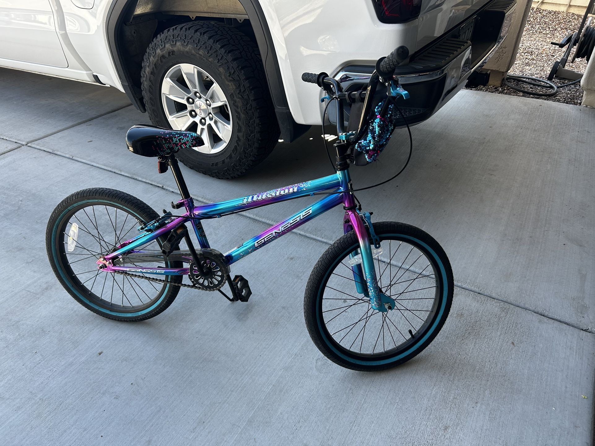 20 Inch Girls Bike