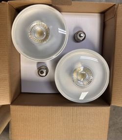 Ecosmart LED Flood Light Bulb - Daylight - 4 Pack - Wet Rated - Indoor/Outdoor