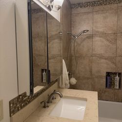 Medicine cabinet / Mirror