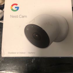Indoor /Outdoor Google Neat Camera