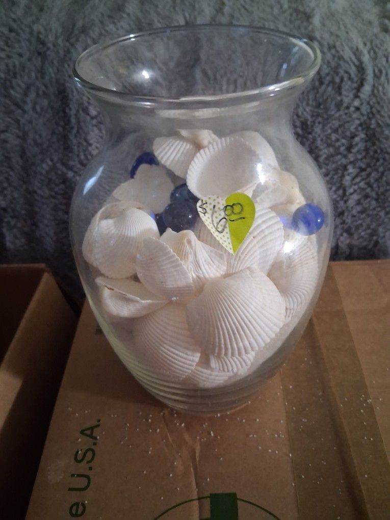 New, Large Glass Vase With Shells, Marbles And Sand