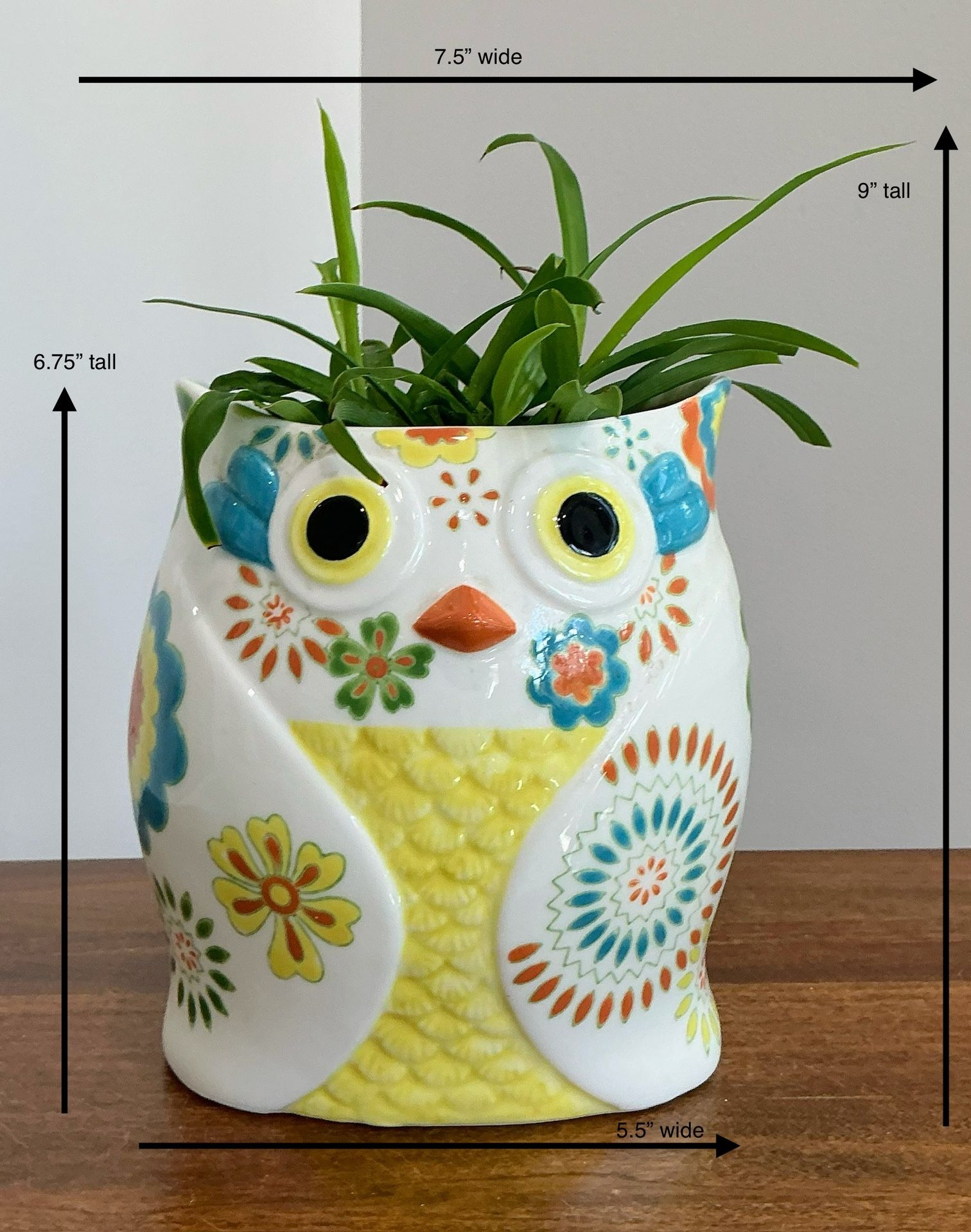 Live Spider Plant in a Colorful Pier 1 Imports Hand Painted Stoneware Owl Planter