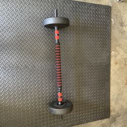 Barbell/Dumbbells