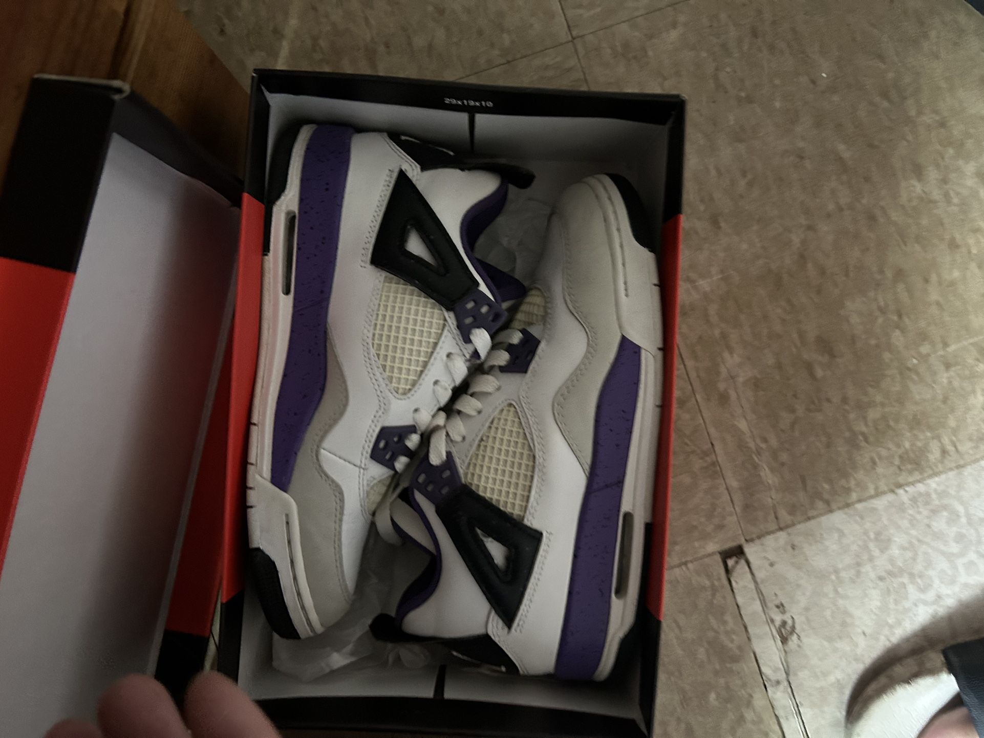 Woman Sneakers