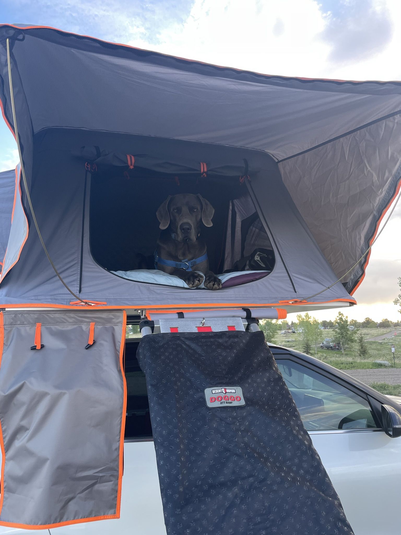 Roof Top Tent Dog Ramp