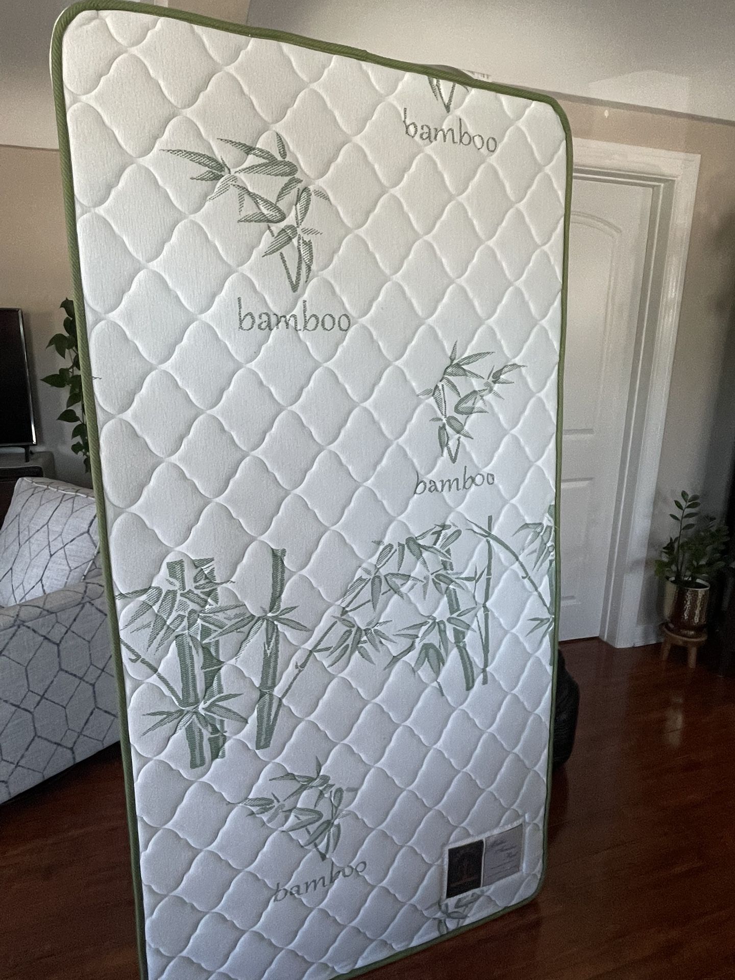 Firm Twin Mattress and Box Spring