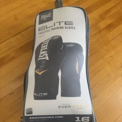 16oz Boxing Gloves