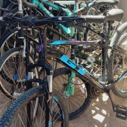 Bikes $13. Each 
