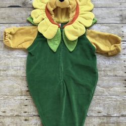Winnie The Pooh Halloween Costume