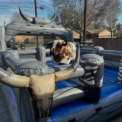 Mechanical Bull