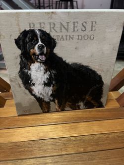 DOG PLAQUES