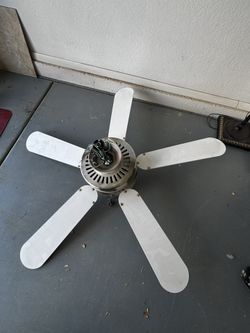 Ceiling Fan