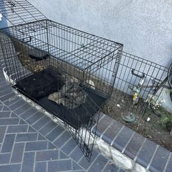 Dog Cage Used