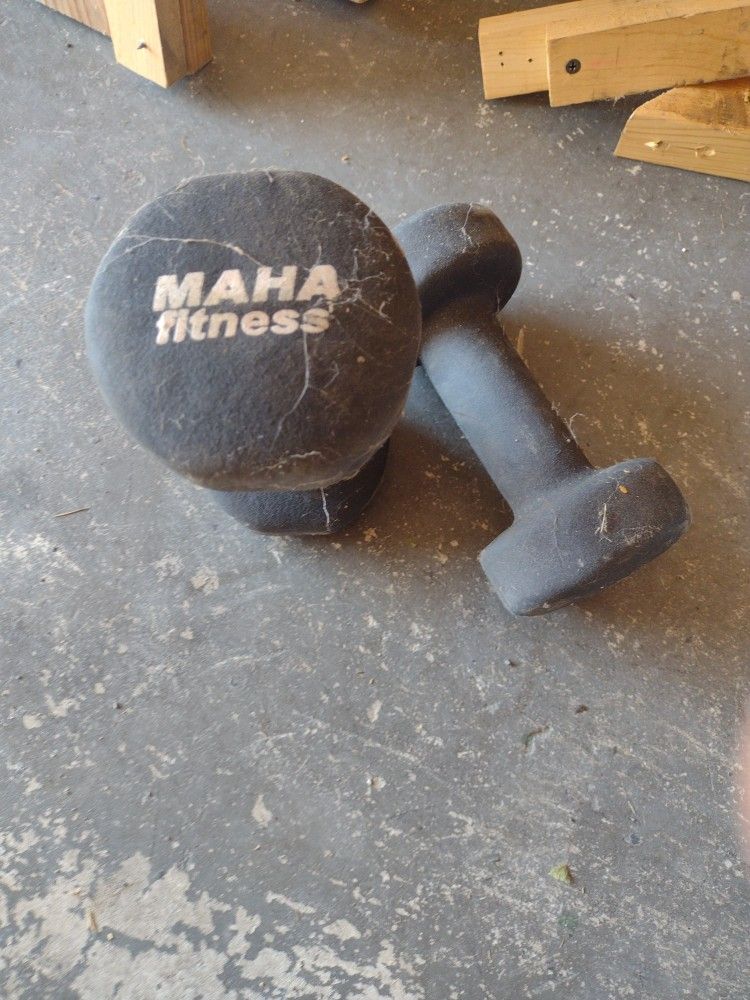 Maha Fitness 10lb Dumbbells