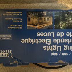 Outdoor Lights