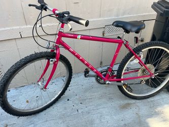 goodbike evryting work good tires size 26