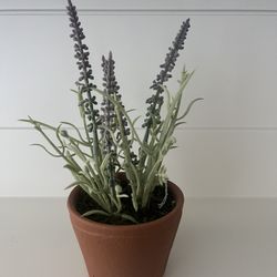 Hearth And Hand Faux Plant $5