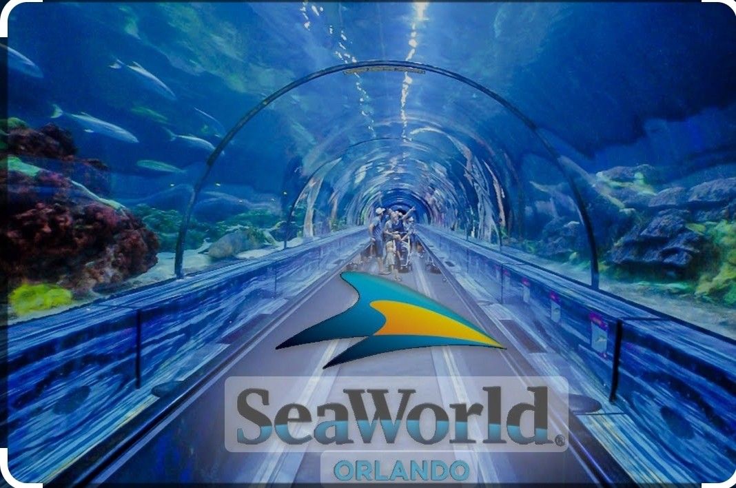 2 Tickets For Sea World Or Busch Gardens