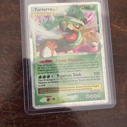heavily played Toterra X Vintage promo