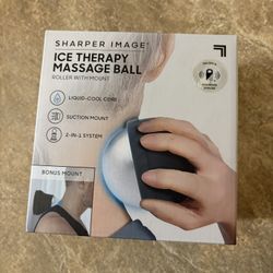 Sharper Image Ice Therapy Massage Ball