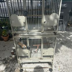 Bird Cage 