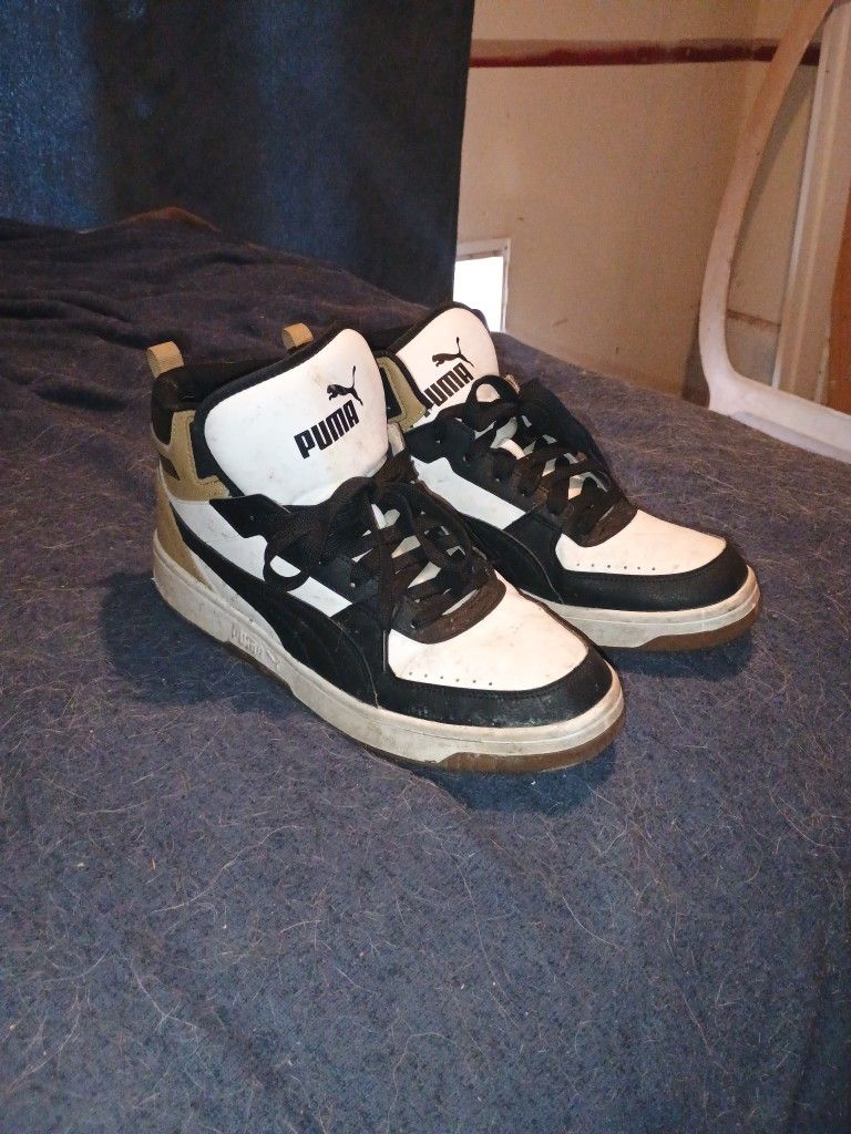 Pumas