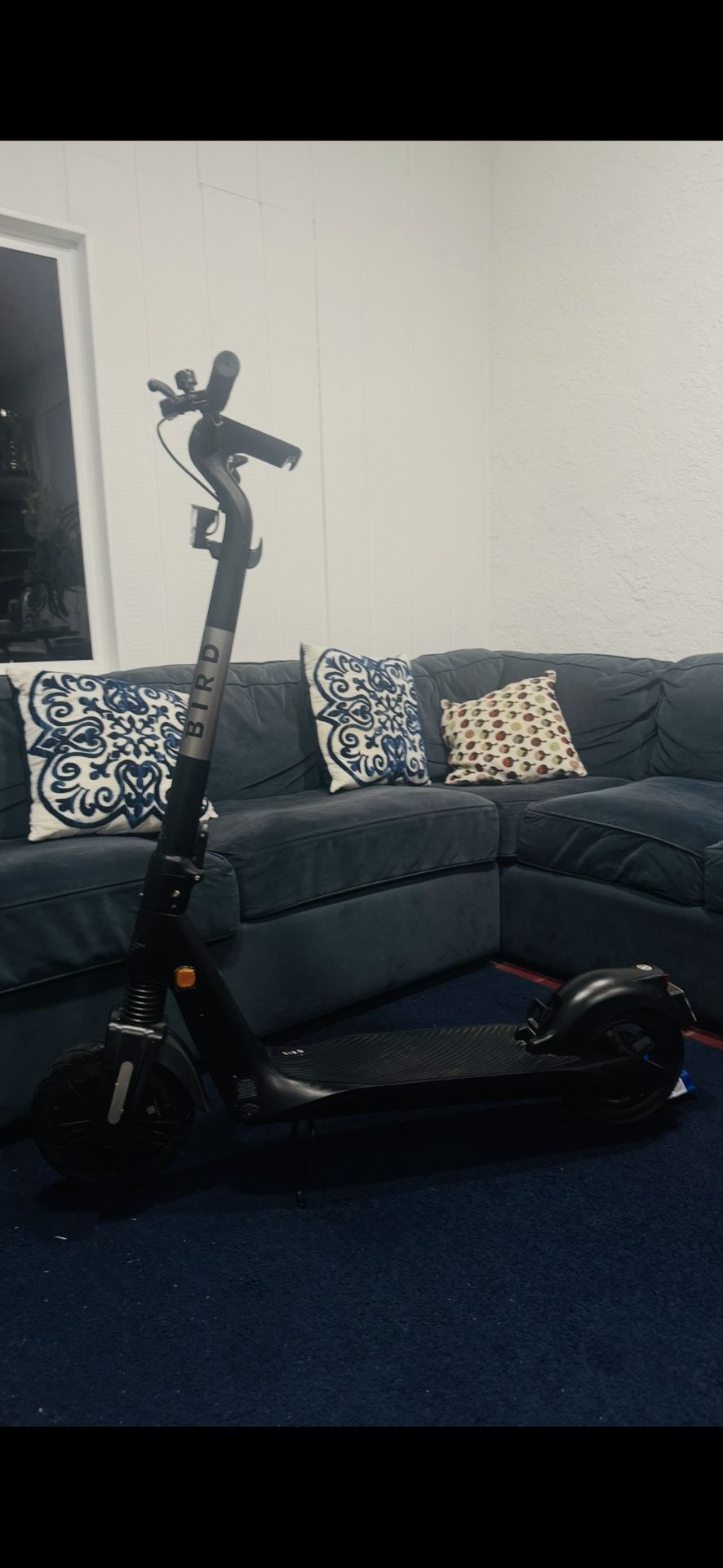 Bird Flex Scooter