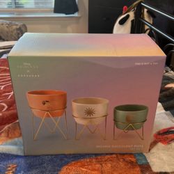 Disney Moana Plant pots