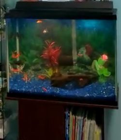 Fish Tank with Stand, Filter, LED lights.