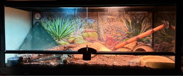Reptile Tank Enclosure