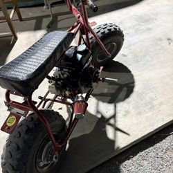 Ct200u Mini Bike