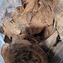 Excellent Charcoal BBQ  GRILL FIRE 🔥 STARTER ---NOT FOR FREE--- COCONUT HUSK 🥥 